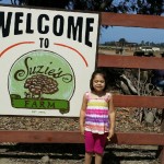 Suzi's Farms@