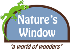 NaturesWindow